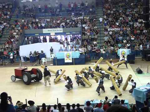 enart 2015 rancho da saudade musica entrada