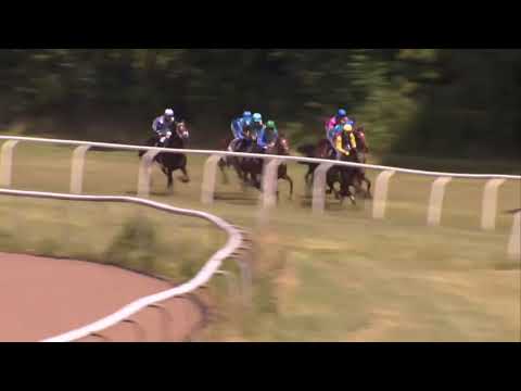 2018.06.24 Dansk Breeders' Cup - Steinway