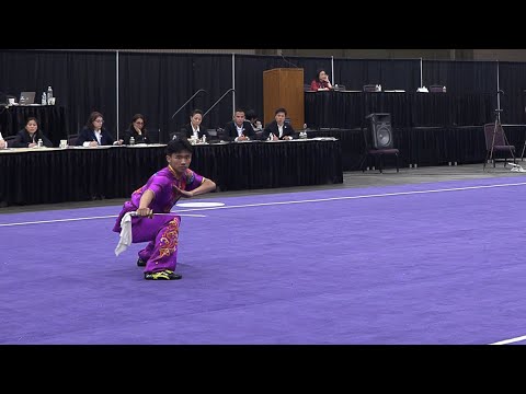 Tony Wang Daoshu 9.273 - US Wushu Team Trials 2023