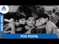 Kulavilakku Tamil Movie Songs Poo Poova Video Song Gemini Ganesan Saroja Devi MSV