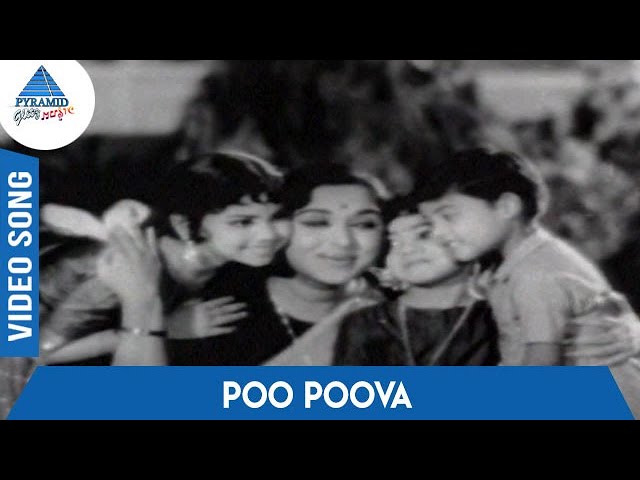 Kulavilakku Tamil Movie Songs | Poo Poova Video Song | Gemini Ganesan | Saroja Devi | MSV