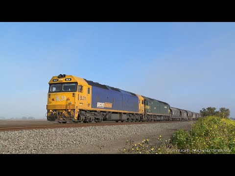 7736V Pacific National Grain Train Stops At Gheringhap - PoathTV Australian Railways