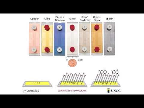 2017 Three Minute Thesis: Taylor Mabe, Nanoscience (1st Place Winner)