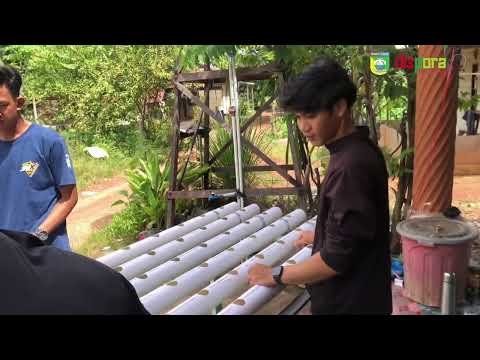 Proses instalasi program hidroponik SP3 dan pemuda desa Maluka Baulin