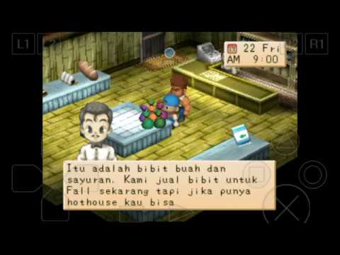Bagaimana untuk memperkuat potensi Obat terbaik meningkatkan potensi