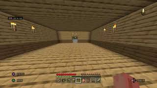 気分が良いマイクラ