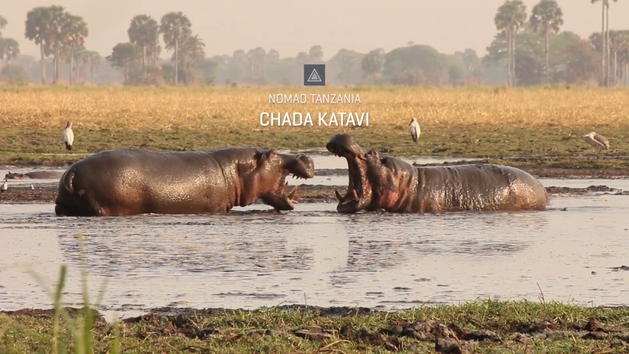 Chada Katavi Video