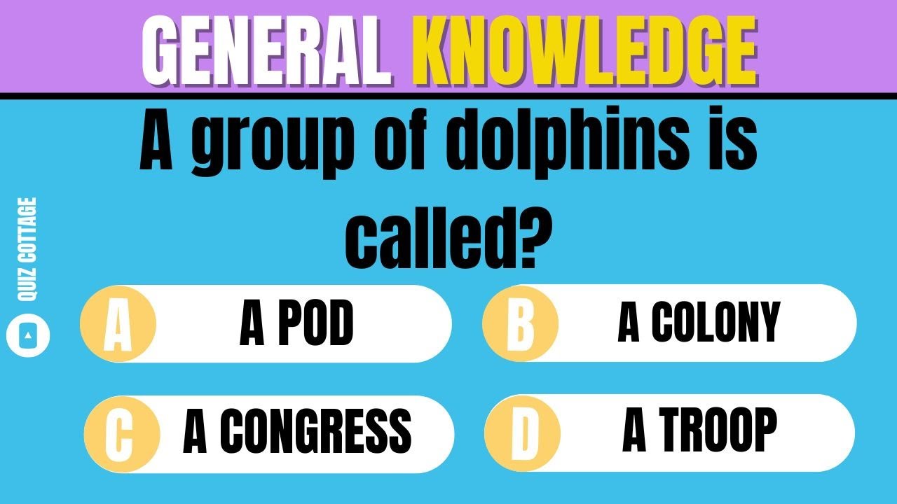 How Good Is Your General Knowledge? Take This 30-question Quiz To Find Out! #challenge 10