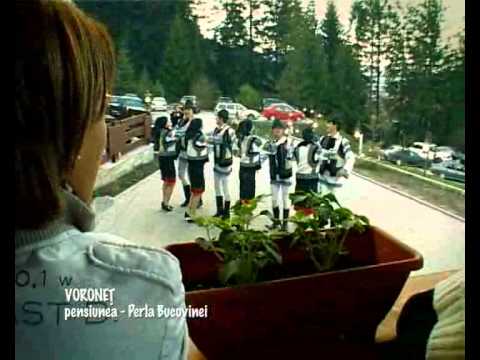 pensiunea perla bocovinei VORONET