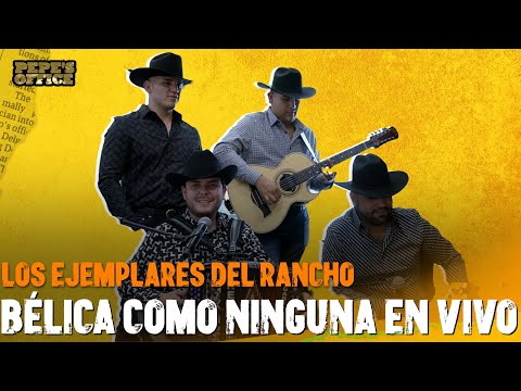 "Bélica Como Ninguna" - Los Ejemplares del Rancho | Pepe's Office