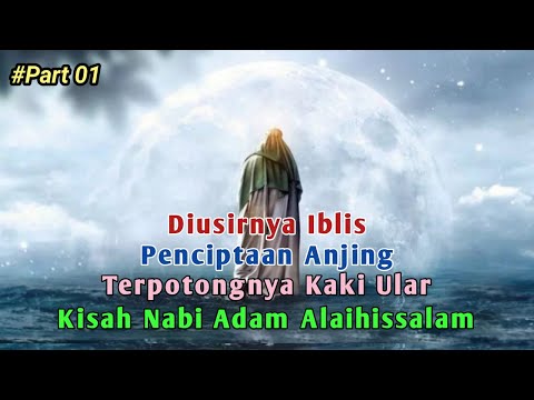 Awal terciptanya Anjing, Kisah Nabi Adam, terpotongnya Kaki Ular & Diusirnya Iblis