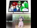 Gushing Over The Wildcat Cooking Show Anime Edit Mahoushoujoniakogarete