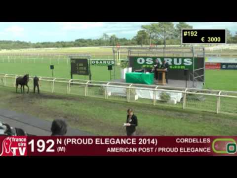 Ventes Osarus de La Teste du Buch 2015 - J2