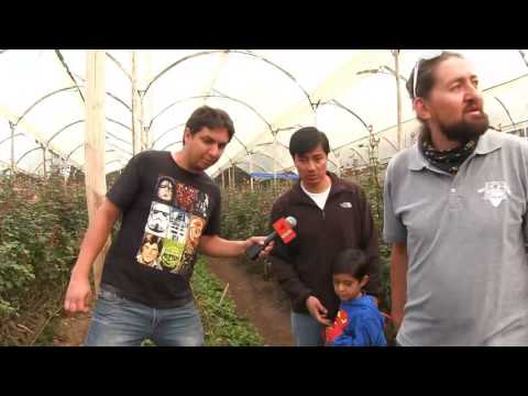 AVESPADOS / Programa 09 - Carrera en Yahuarcocha - Parte 2