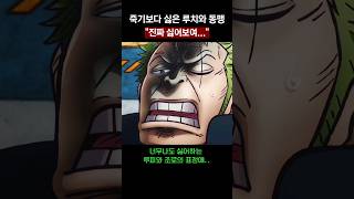 죽기보다 싫은 CP0 루치와의 동맹