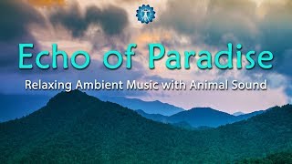 3 Hours Relaxing Ambient Music with Animal Sound - "Echo Of Paradise" - Calming, Stress Relief