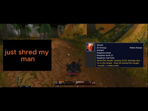 quick and simple feral druid leveling guide & F.A.Q's | Germanicus - Classic WoW