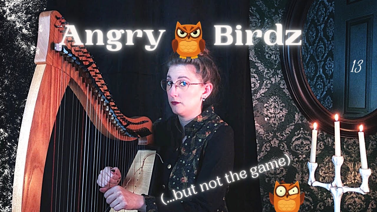 Promotional video thumbnail 4 for Kathryn Lillich