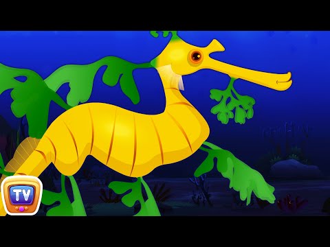 Leafy Sea Dragon Nursery Rhyme | ChuChuTV Sea World | Animal Songs & Nursery Rhymes For Children