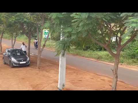 Walkthrough Walkthrough