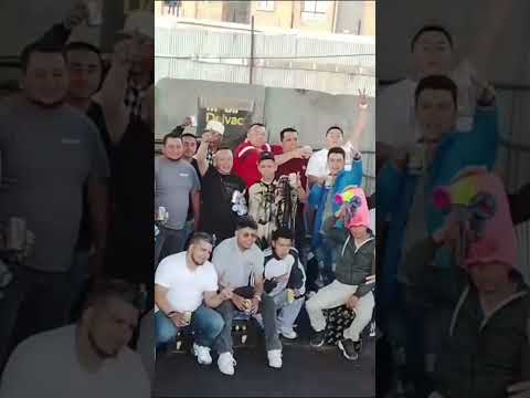 Parranda Vallenata en Chía | Mi Cafetal 🪗🔥