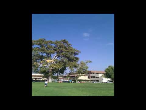 kite tail flying 07-09-2010.wmv
