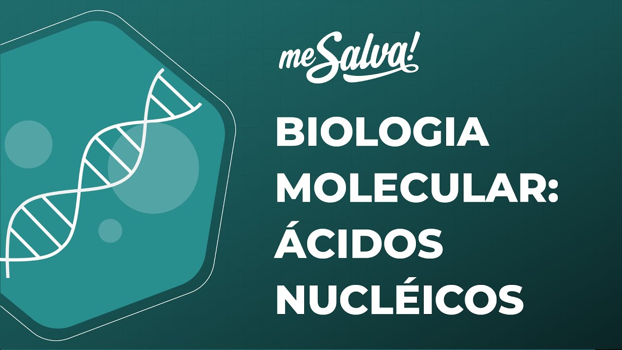 Biologia Molecular – Ácidos Nucleicos - Biologia Básica - Me Salva! Saúde