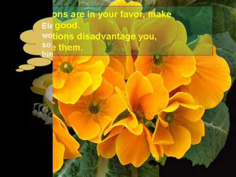 FLORENTIN  SMARANDACHE I