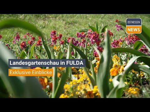 FULDA: Exklusive Einblicke auf der Landesgartenschau