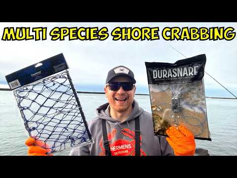 Multi-Species SHORE CRABBING with Durasnare & Foldable Crab Traps