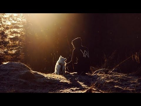 Alan Walker & ZAYN - Colours (Official Music Video 2018)