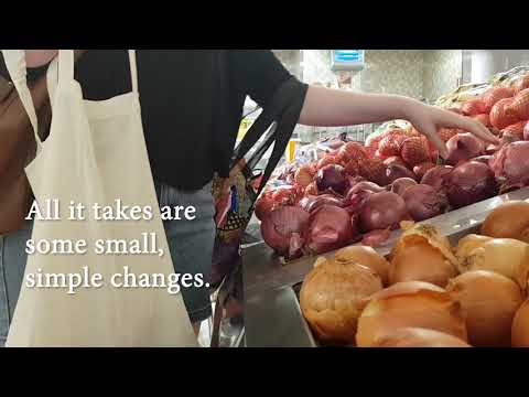 BCM322 Final Project - Supermarket Plastic: What Can We Do?