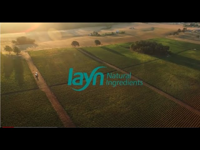 imagen-video-thefoodtech