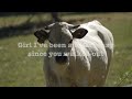 Two Night Town By: Jason Aldean (Lyrics)
