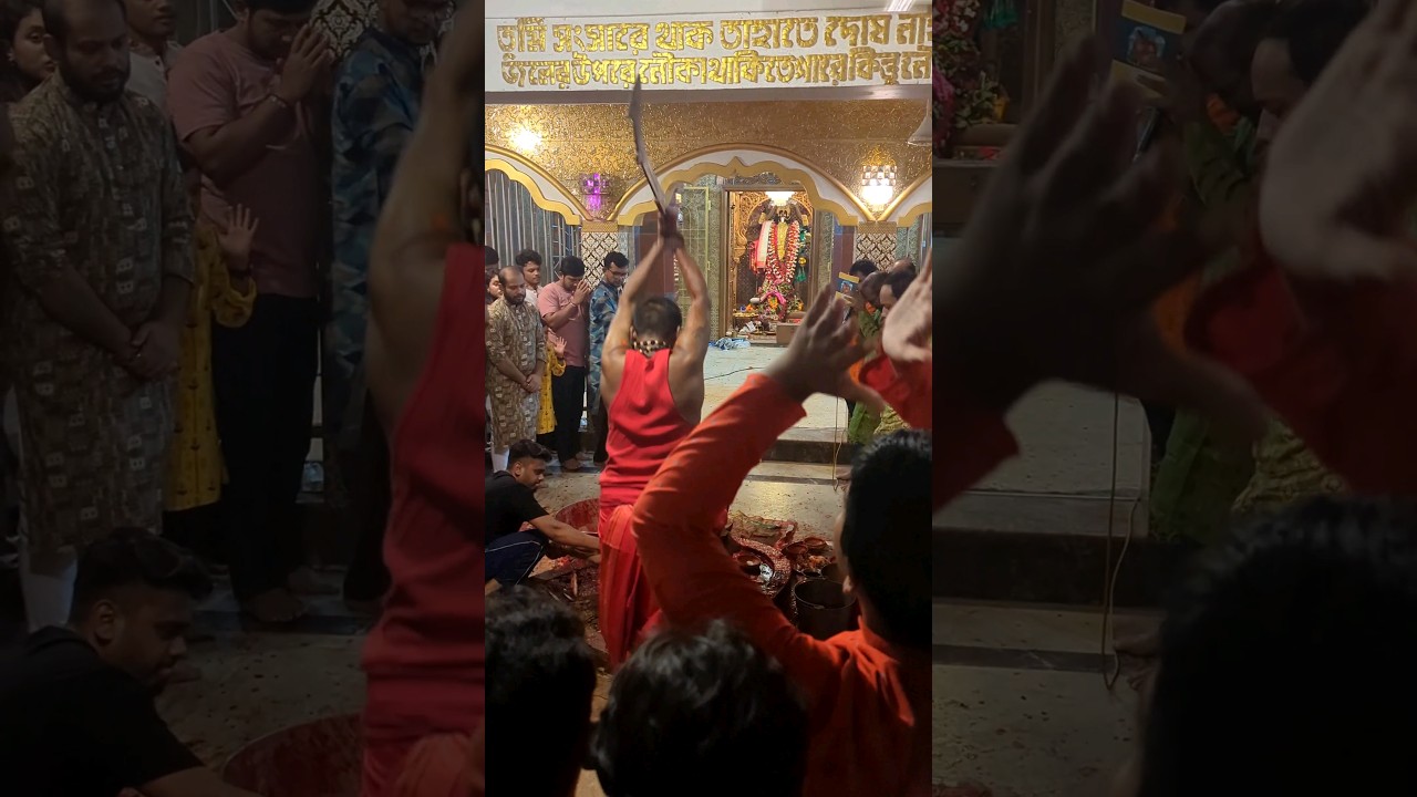 Maa Kali Puja🙏|| Patha Boli ||😱🙏😱 #shorts #1million #maakali #live