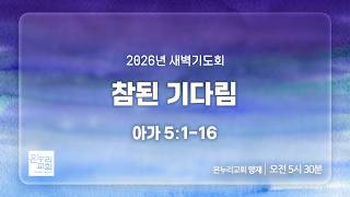[양재 새벽기도회] 참된 기다림 (아가 5:1-16) | 2026.10.28