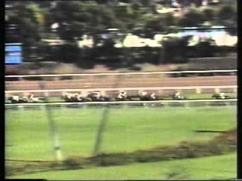 Breeders Cup Mile Miesque 1987 Horse Racing