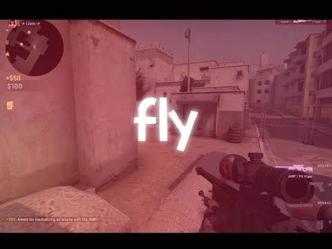 Steam Community :: Video :: Fly - CS:GO Mini Edit