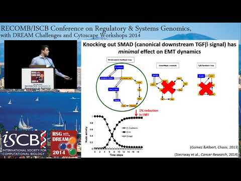 Network modeling reveals key features of epithelial-to... - Steven Steinway - RECOMB/RSG 2014