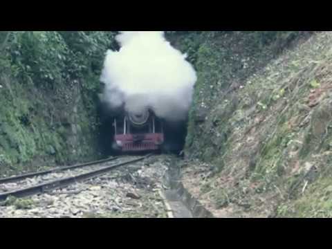 Aporema video