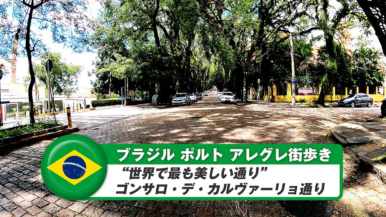 【ブラジル】ポルトアレグレ⑱“世界で最も美しい通り”ゴンサロ・デ・カルヴァーリョ通り