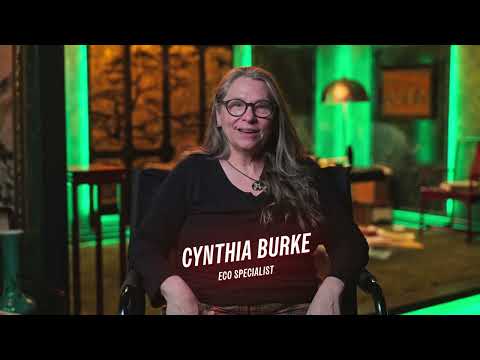 Behind-The-Scenes Sustainability