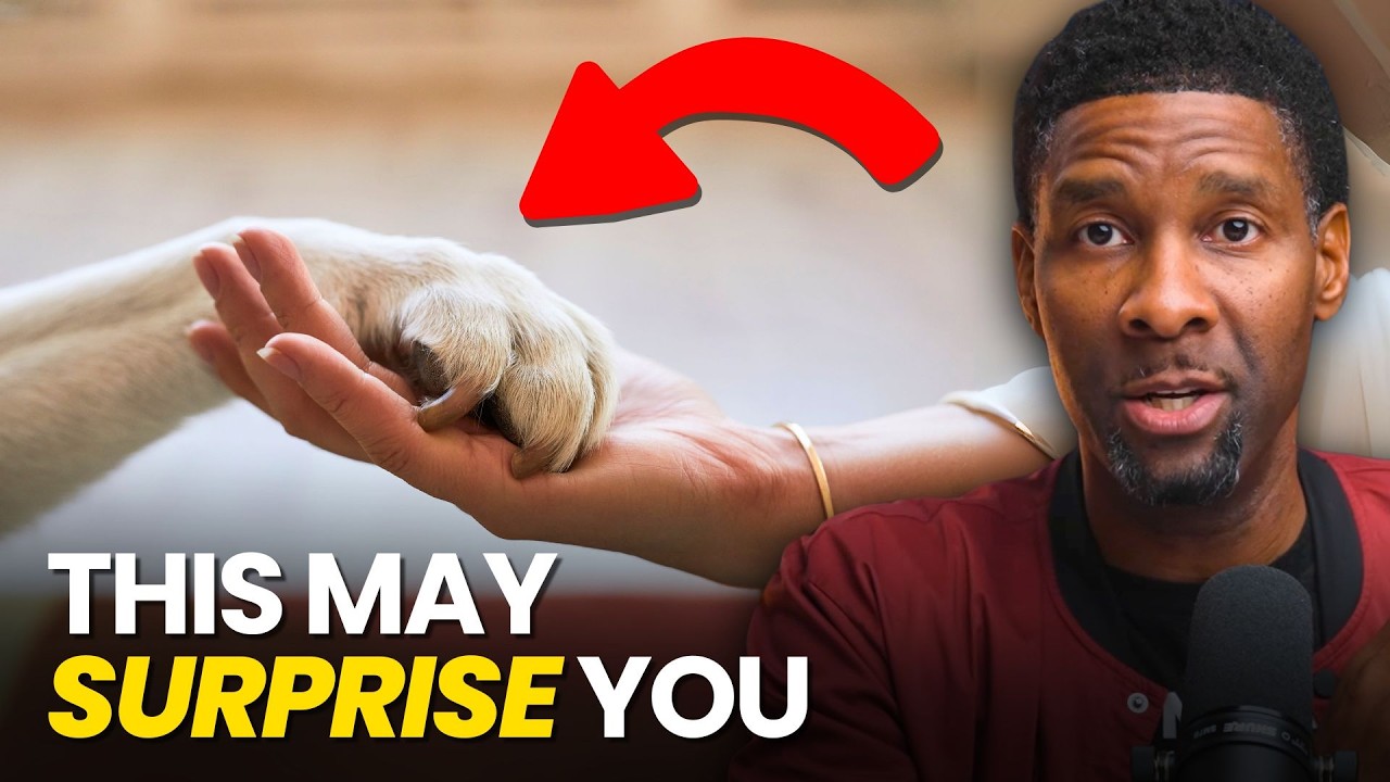 Will You See Your Pet in Heaven? - Here’s What the Bible Says