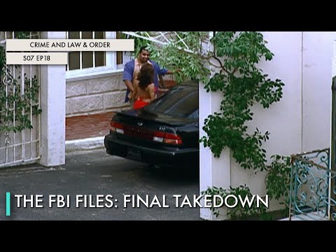 The FBI Files: Final Takedown