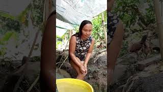 Download lagu LIGO challenge part open village ❤️❤️❤️ mp3 Download lagu LIGO challenge part open village ❤️❤️❤️ mp3