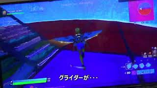 レッドとブルー　どっちが勝つか？　　（フォートナイト）