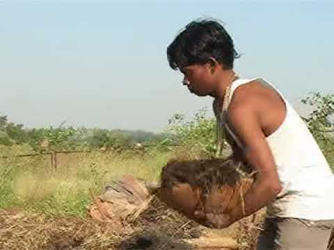 BAIF | Wadi to be Proud of -3 | 2019