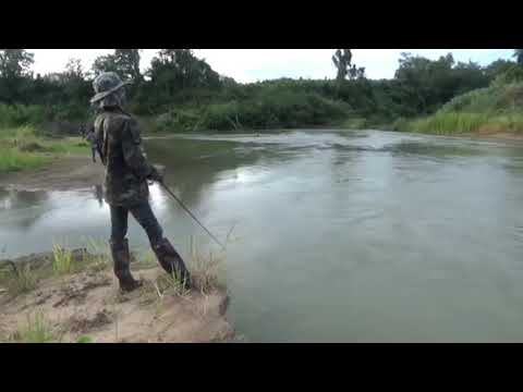 MALAKING ISDA SA MALIIT NA ILOG