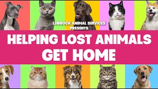 Lubbock Animal Services - Helping Lost Animals Get Home