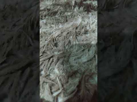 mommy long legs vs mussoumano #videoshorts#poppyplaytimechapter2#mussa#anapsybyloski